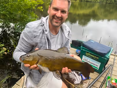 Tench from Nutbrook Pond