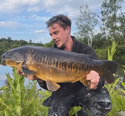 Carp from Shipley Lake